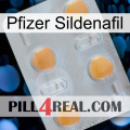 Pfizer Sildenafil 24